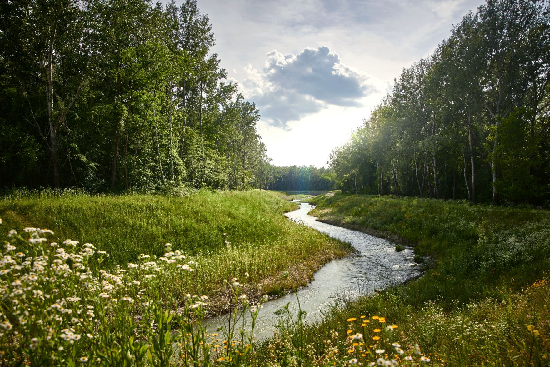 Greifenstein_DSC2813