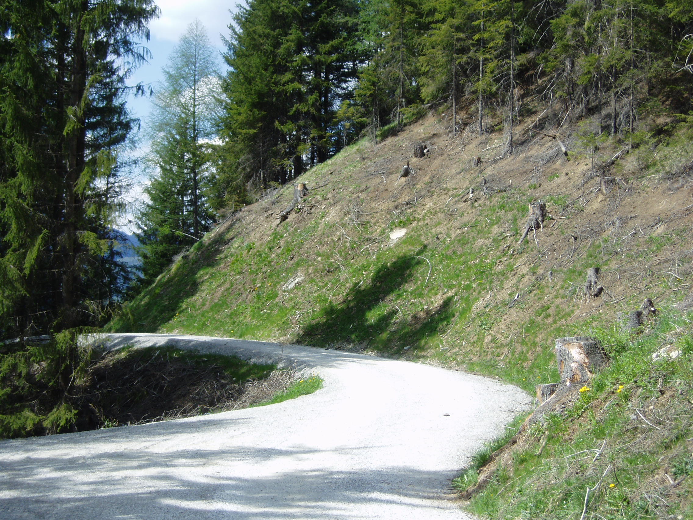 Rekultivierung Radweg Steinach05.JPG