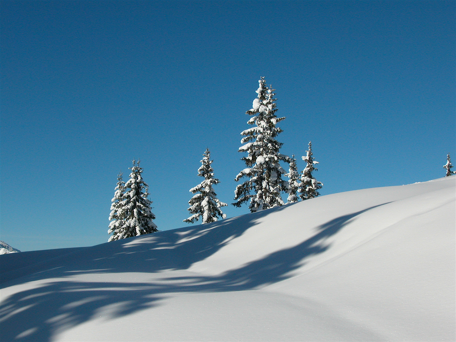 Kopie von Winterlandschaft050130-140232