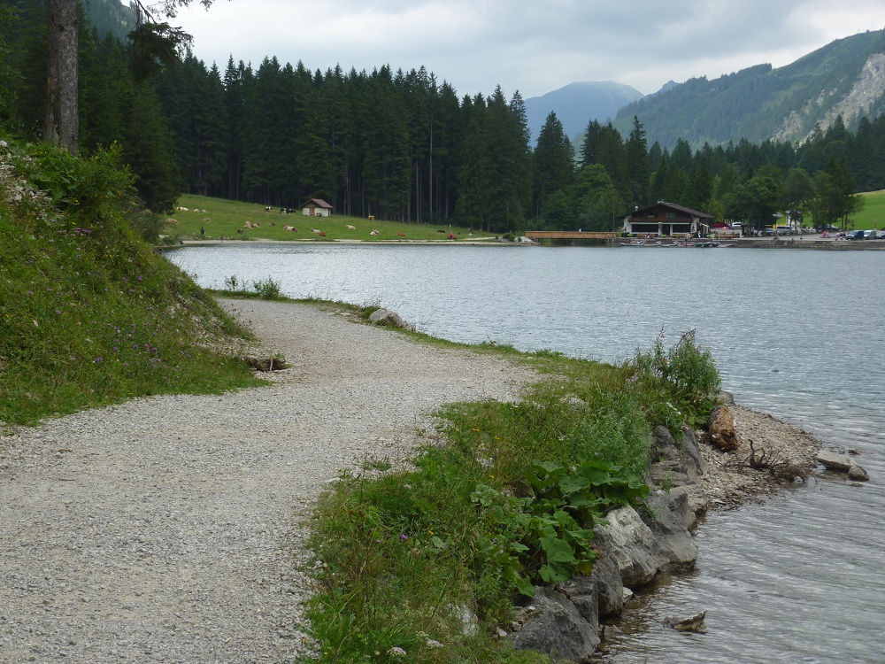 Vilsalpsee, Lokalaugenschein, geplante Forststraße-29.jpg