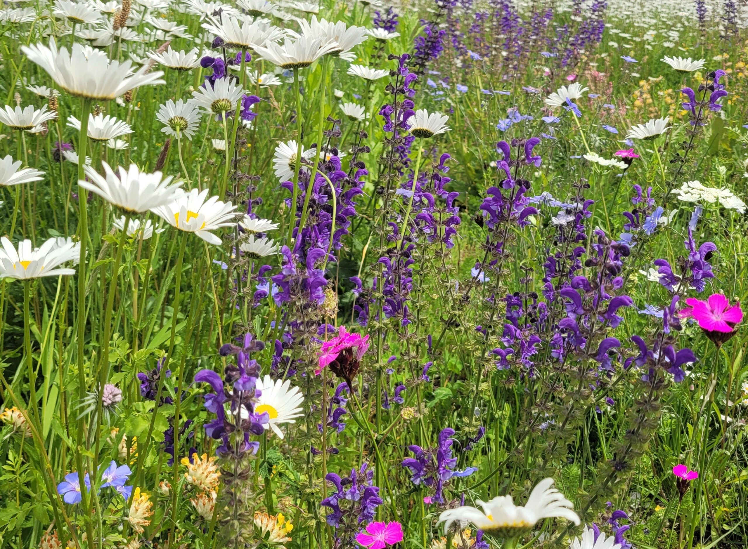 Blüten.Reich - Gallerie_neu1