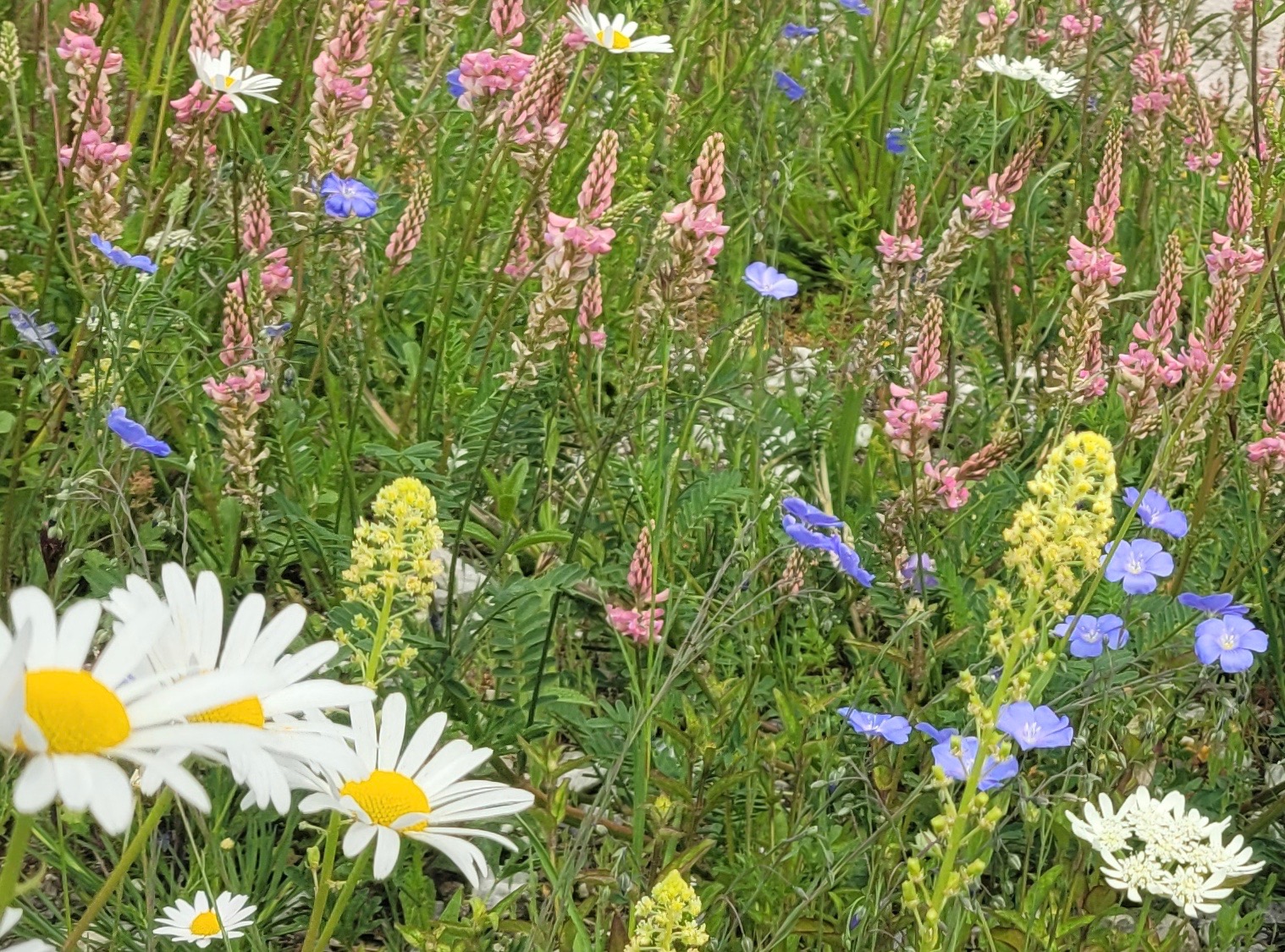 Blüten.Reich - Gallerie_neu1