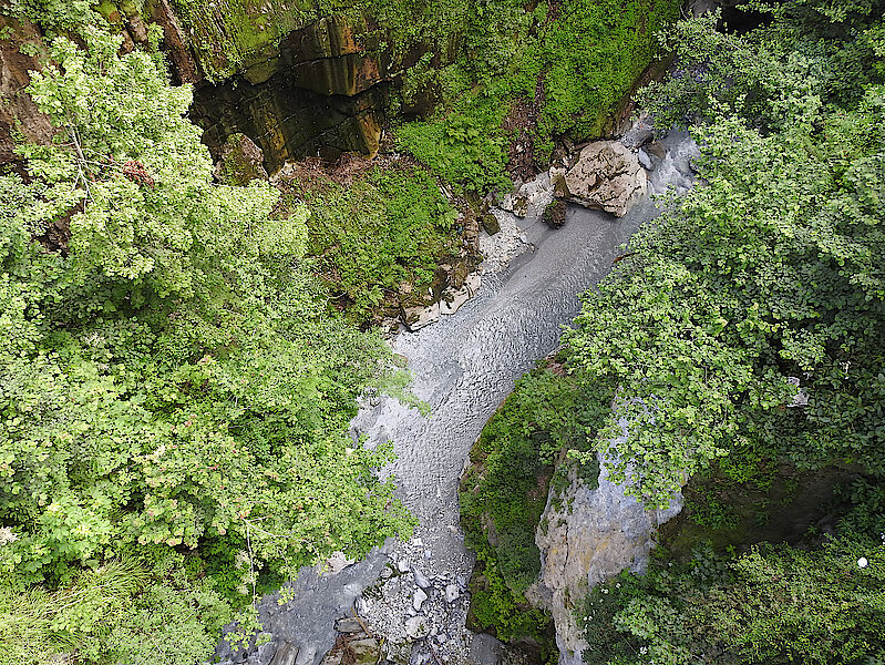 csm_Schluchtenmischwaelder_geschuetzter_Landschaftsteil_Glocke_2e864af1b5