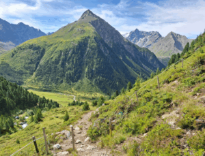 Wirschaftsweg