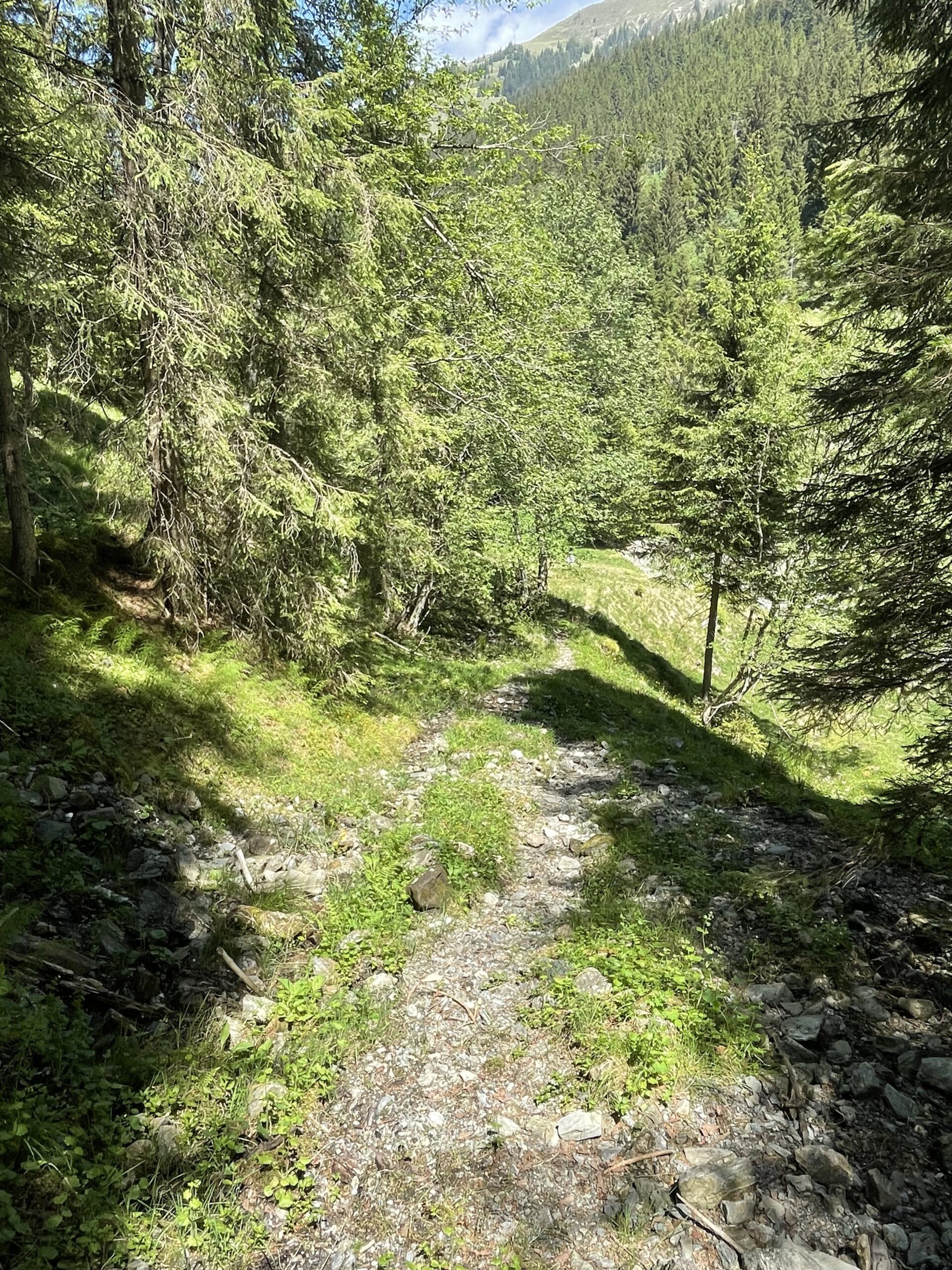 Viehweg Bestand02